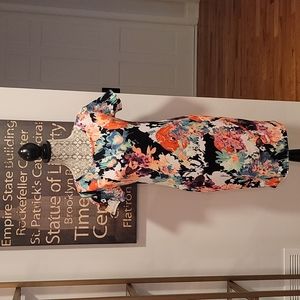 Pinkblush Floral Maternity Dress